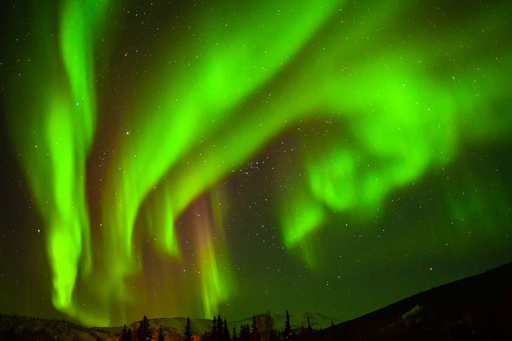 USA-Alaska-Chena Hot Springs Resort Aurora borealis fills night sky